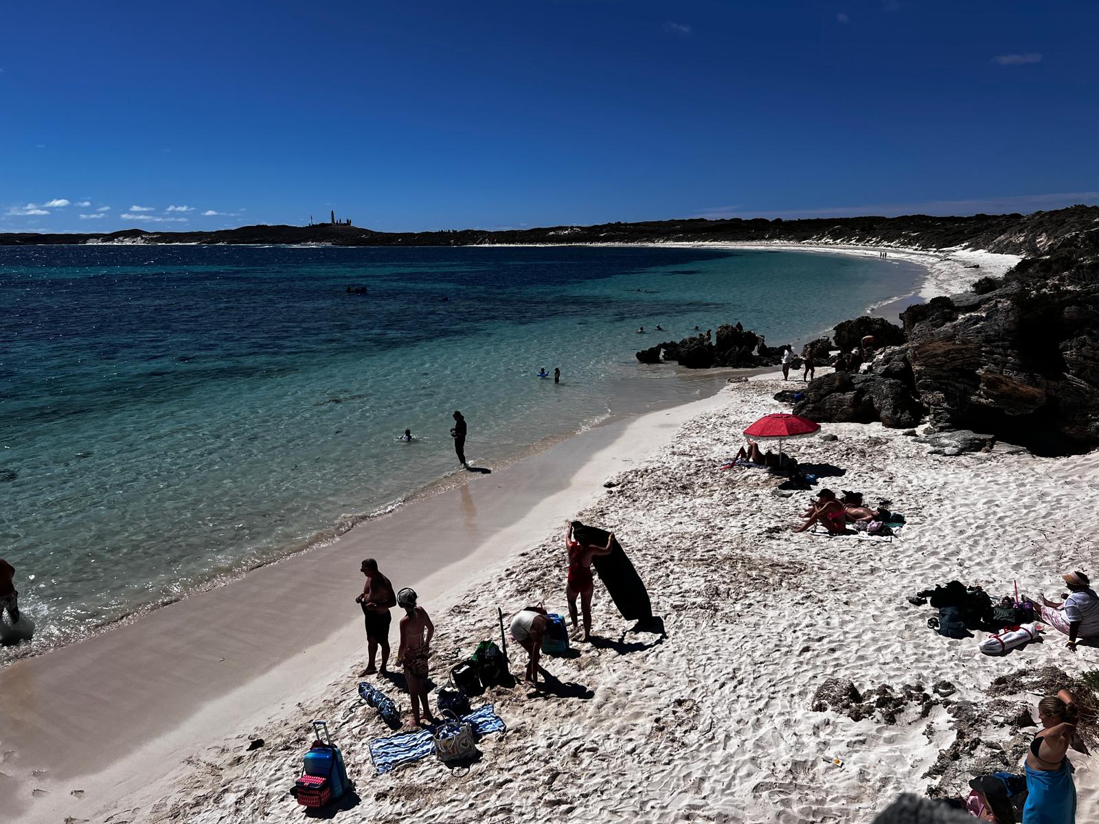 Rottnest Island... un paradiso a 1 ora da Perth